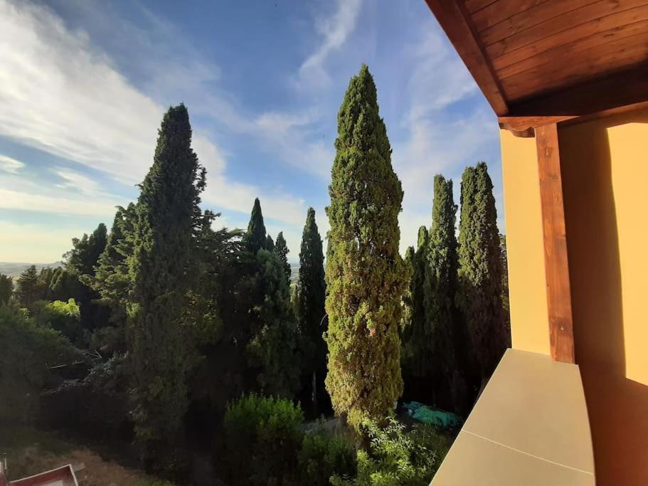 Lajatico Rentals - Terrazza Sul Tramonto Del Silenzio Exterior foto